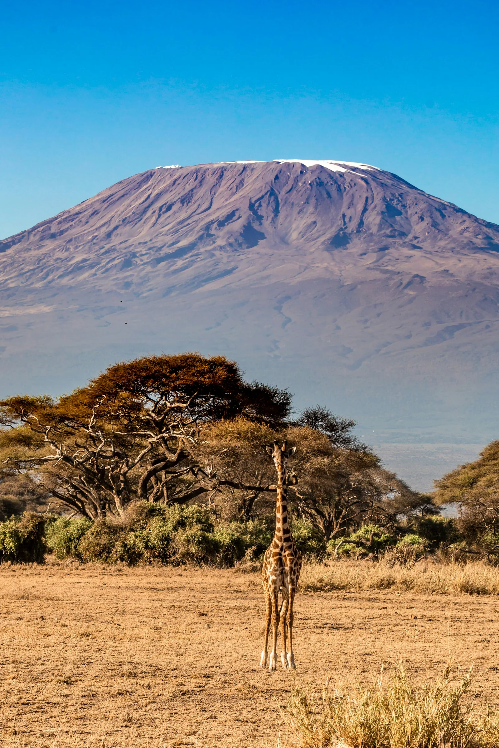 13-Day Safari & Mt Kilimanjaro