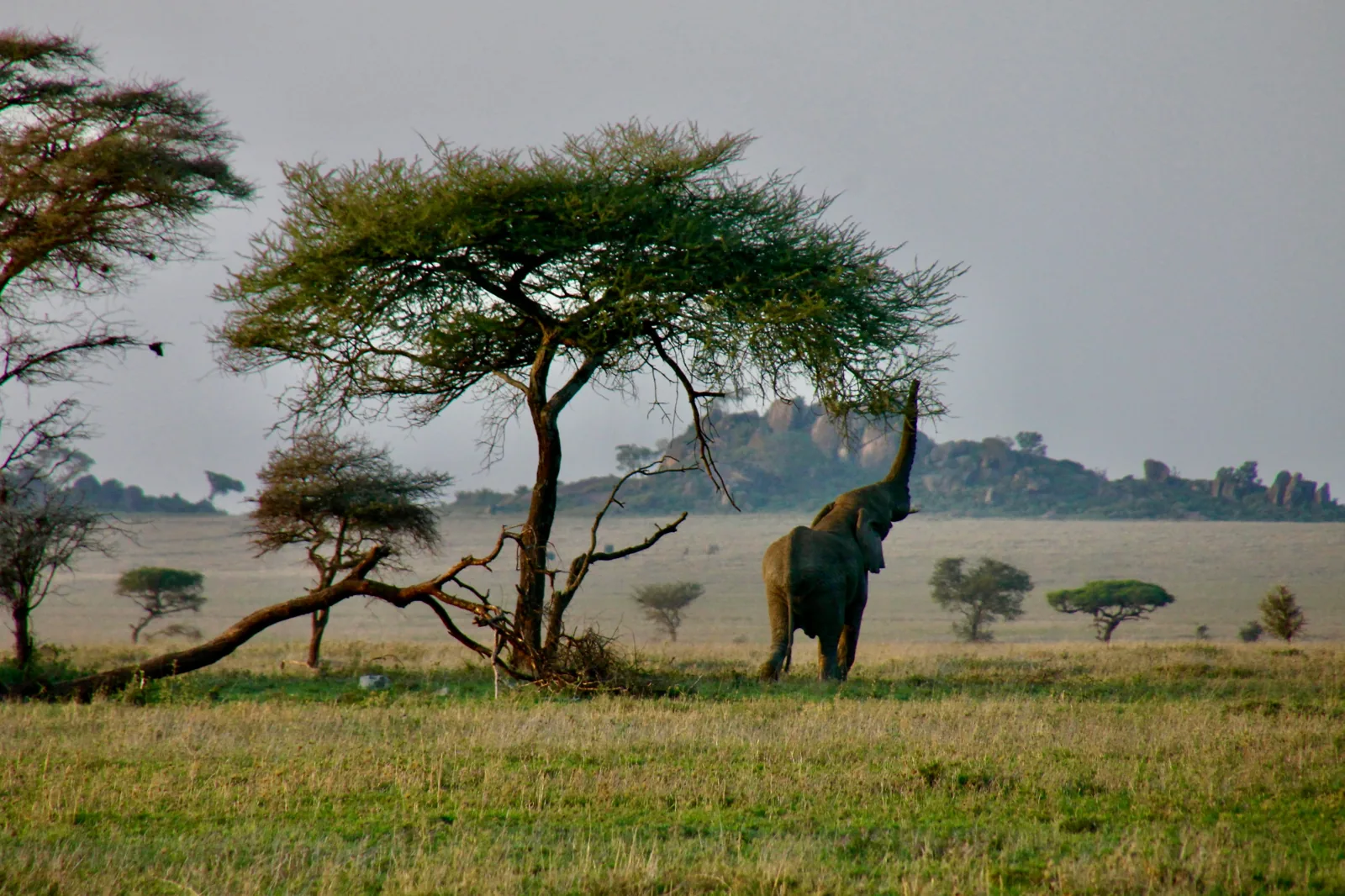 Arusha National Park travel inspiration